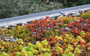 the cost of Sgoir Beag green roof installation