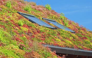 Sgoir Beag living roof systems