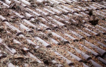Sgoir Beag roof cleaning companies