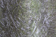 Sgoir Beag fibreglass roof work